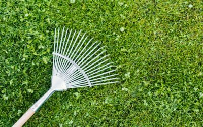 Why Aeration and Overseeding Are Essential for a Healthy Lawn