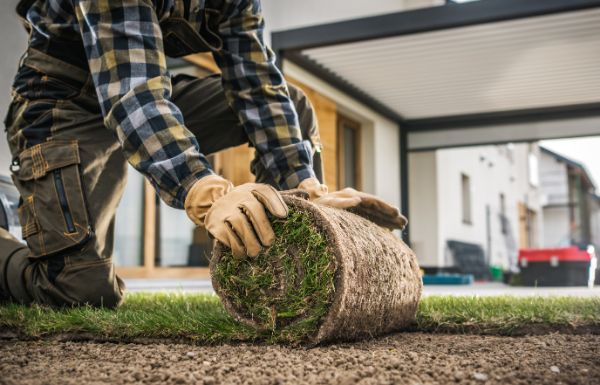 How to Prepare for a Sod Installation: 5 Steps for Success