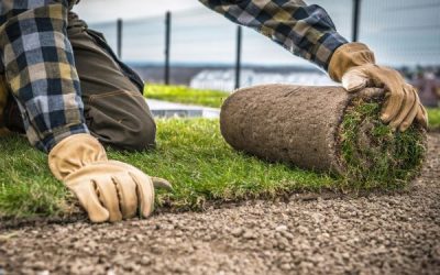 When and Why You Should Remove Old Sod Before Installing New Grass