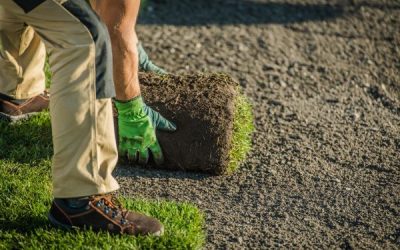 The Complete Guide to Lawn Aeration and Overseeding in Oklahoma