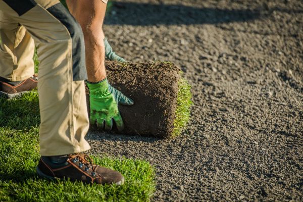 The Complete Guide to Lawn Aeration and Overseeding in Oklahoma