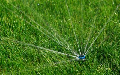 How Irrigation Systems Can Save Water and Strengthen Your Lawn