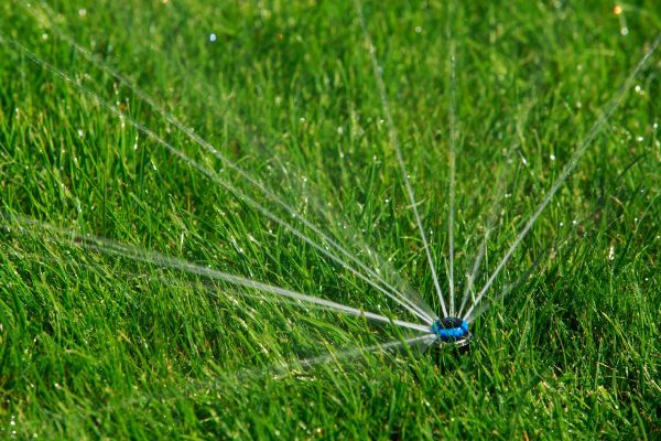 How Irrigation Systems Can Save Water and Strengthen Your Lawn