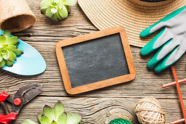 lawn care calendar Tulsa