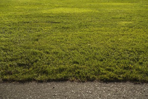 Bermuda sod Tulsa