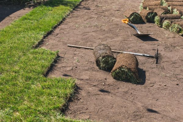 Tiff Tuff sod Tulsa